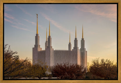 Washington DC Fall Skies