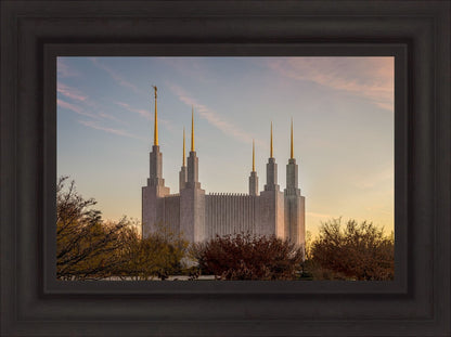 Washington DC Fall Skies