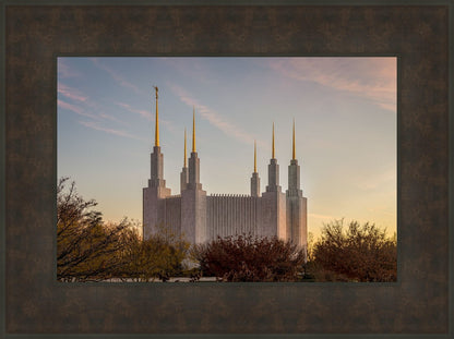 Washington DC Fall Skies