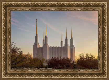 Washington DC Fall Skies
