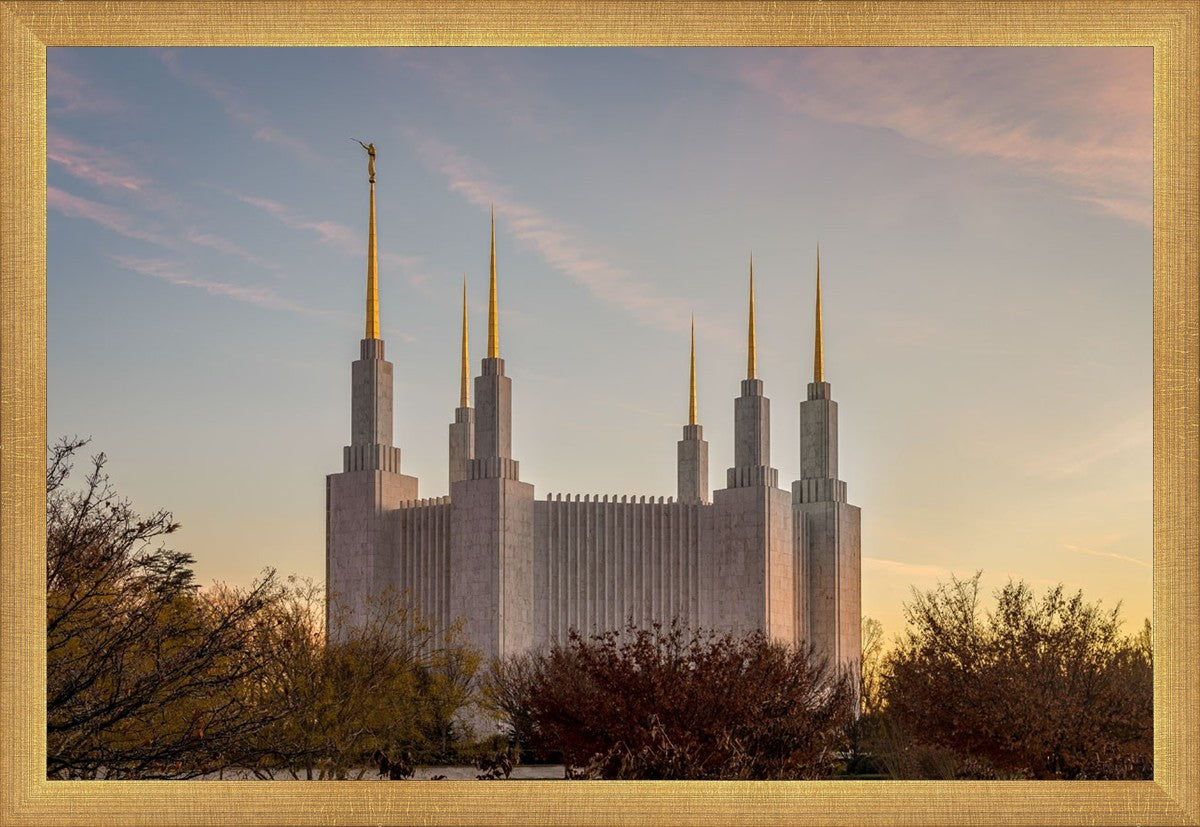 Washington DC Fall Skies