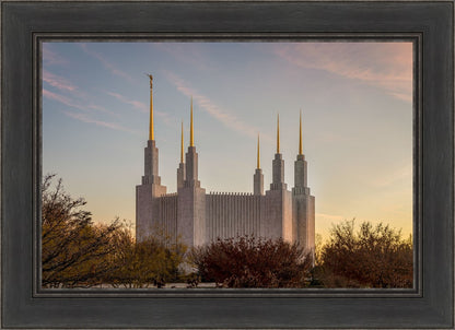 Washington DC Fall Skies