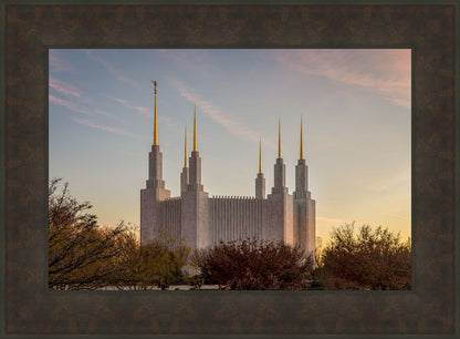 Washington DC Fall Skies