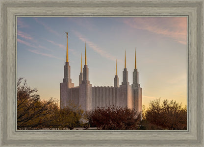 Washington DC Fall Skies