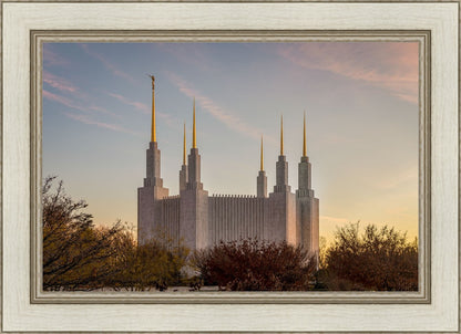 Washington DC Fall Skies