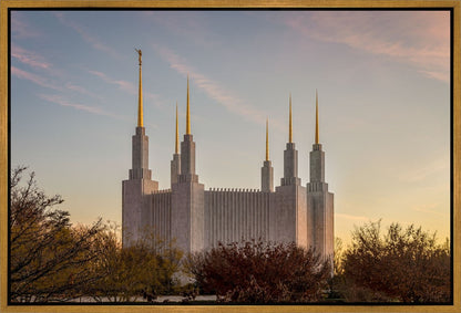 Washington DC Fall Skies