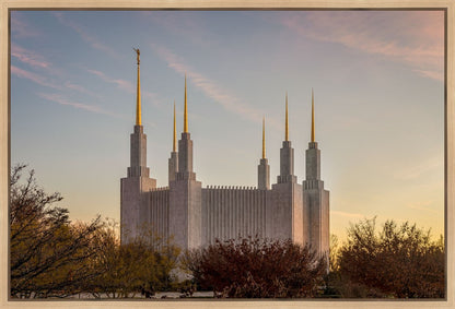 Washington DC Fall Skies