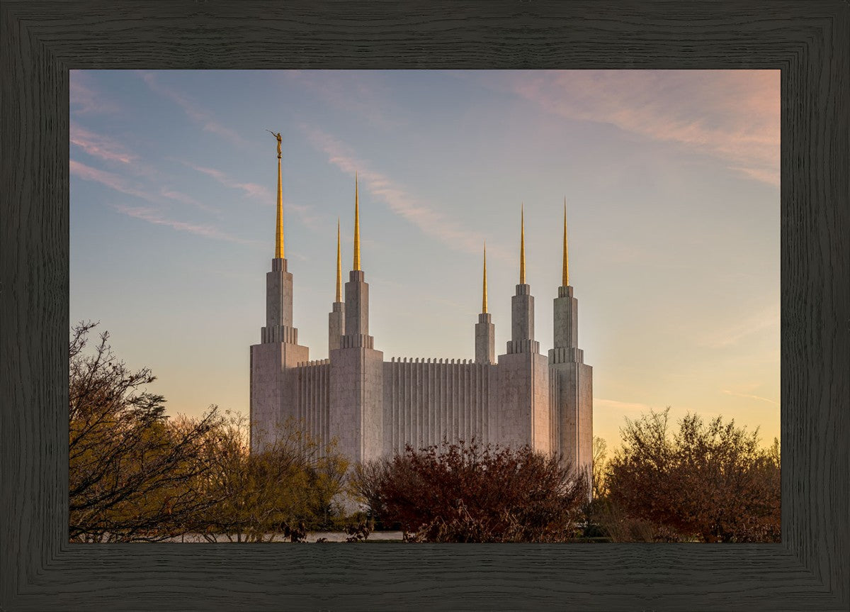 Washington DC Fall Skies