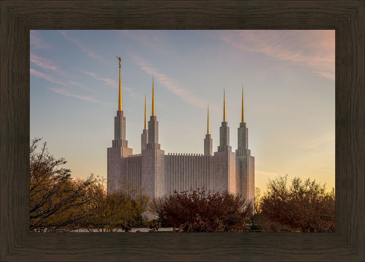 Washington DC Fall Skies