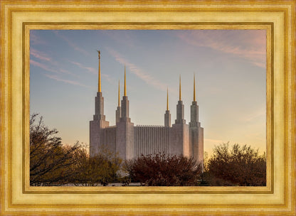 Washington DC Fall Skies