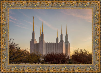 Washington DC Fall Skies