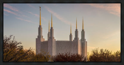 Washington DC Fall Skies