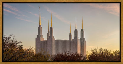 Washington DC Fall Skies