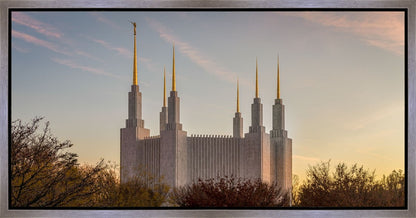 Washington DC Fall Skies