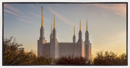 Washington DC Fall Skies