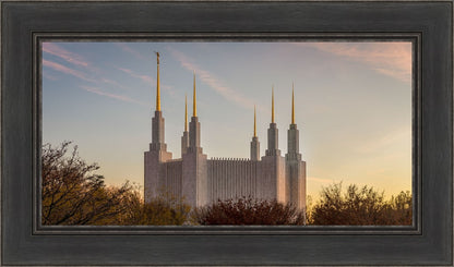 Washington DC Fall Skies