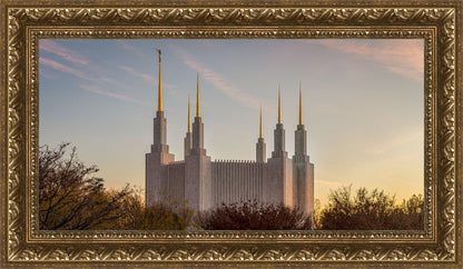 Washington DC Fall Skies