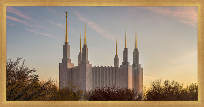 Washington DC Fall Skies