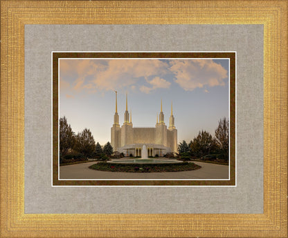 Washington DC Let Truth Prevail