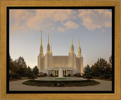 Washington DC Let Truth Prevail