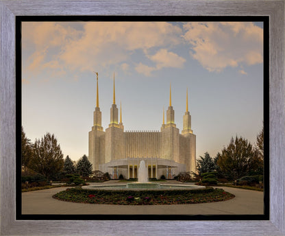 Washington DC Let Truth Prevail