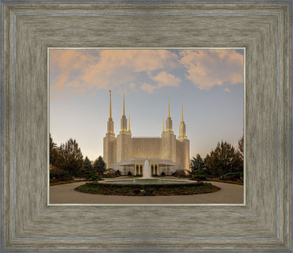 Washington DC Let Truth Prevail