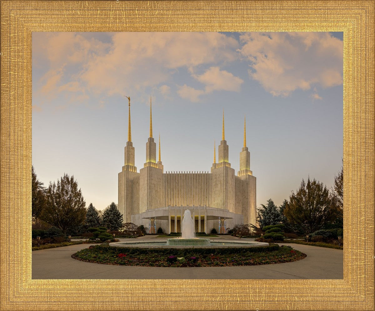 Washington DC Let Truth Prevail