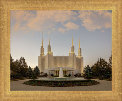 Washington DC Let Truth Prevail