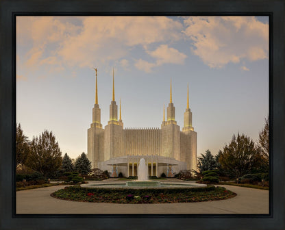 Washington DC Let Truth Prevail