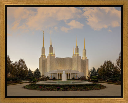 Washington DC Let Truth Prevail