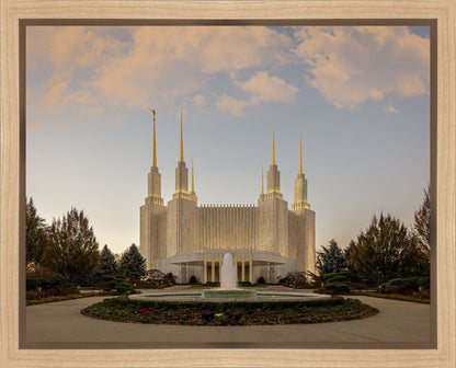 Washington DC Let Truth Prevail