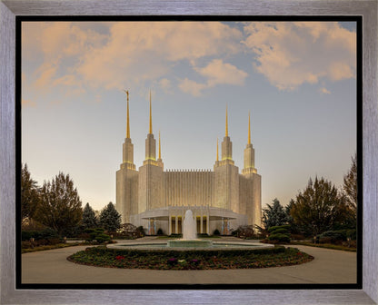 Washington DC Let Truth Prevail