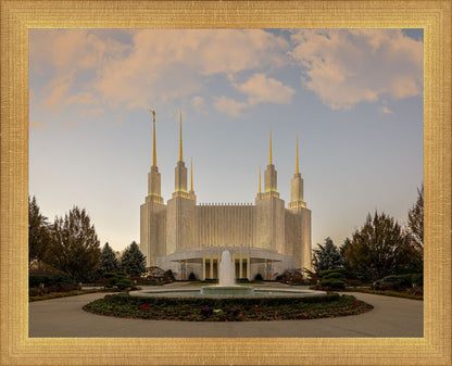 Washington DC Let Truth Prevail