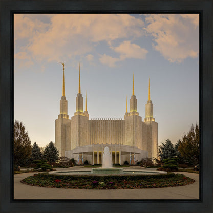 Washington DC Let Truth Prevail