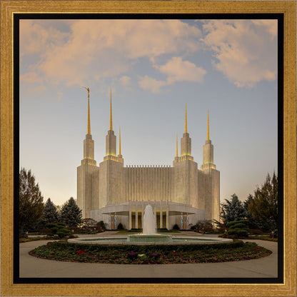 Washington DC Let Truth Prevail