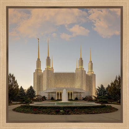 Washington DC Let Truth Prevail