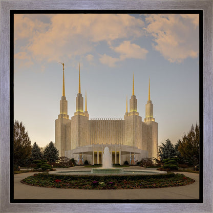 Washington DC Let Truth Prevail