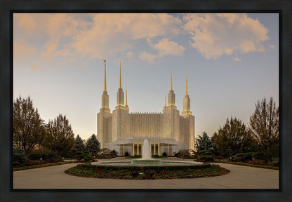 Washington DC Let Truth Prevail