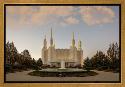 Washington DC Let Truth Prevail