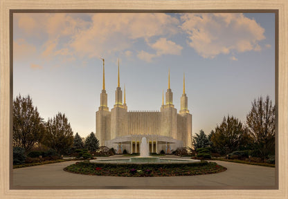 Washington DC Let Truth Prevail