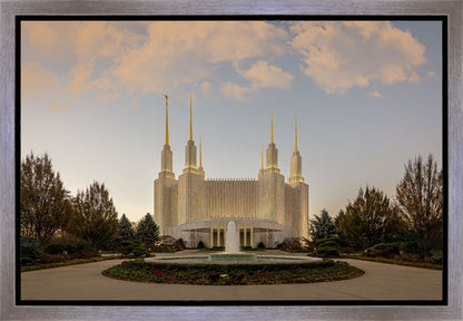 Washington DC Let Truth Prevail