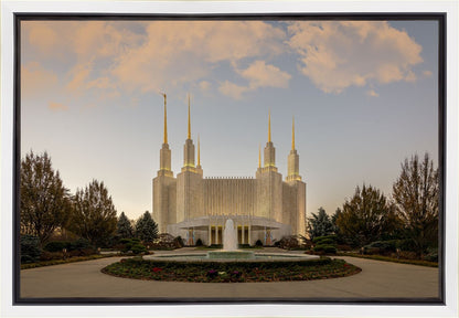 Washington DC Let Truth Prevail