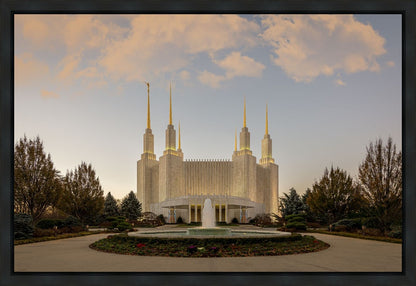 Washington DC Let Truth Prevail