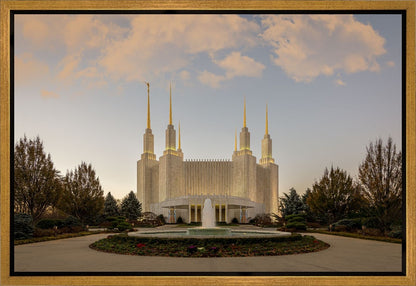 Washington DC Let Truth Prevail