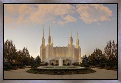 Washington DC Let Truth Prevail