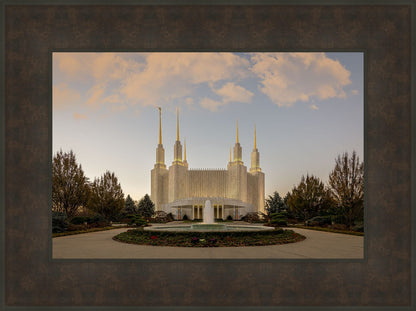 Washington DC Let Truth Prevail