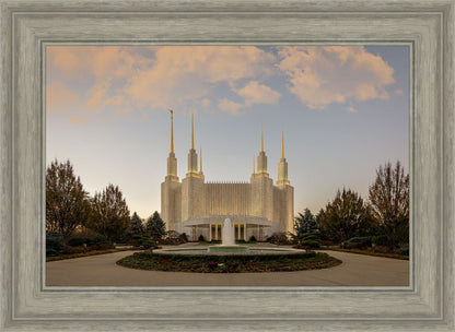 Washington DC Let Truth Prevail