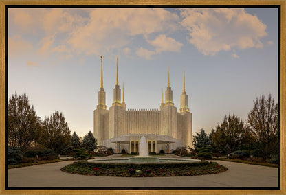 Washington DC Let Truth Prevail