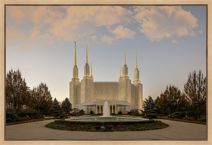 Washington DC Let Truth Prevail