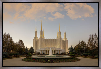 Washington DC Let Truth Prevail